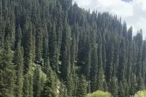 Bishkek: Chon-Kemin Valley Horse Ride & Nomad Experience