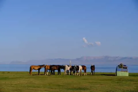 From Bishkek: 7-Day Kyrgyzstan Highlights Guided Tour