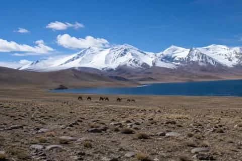 Pamir Highway 7-Day 4x4 Expedition: Osh ⇄ Dushanbe