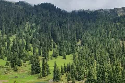 2-Day Tour Around Issyk-Kul: Jeti-Oguz, Barskoon & Karakol