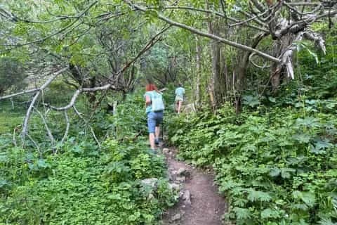 Waterfall Belogorka & Sokuluk Gorge (Hike & Picnic in 1 Day)
