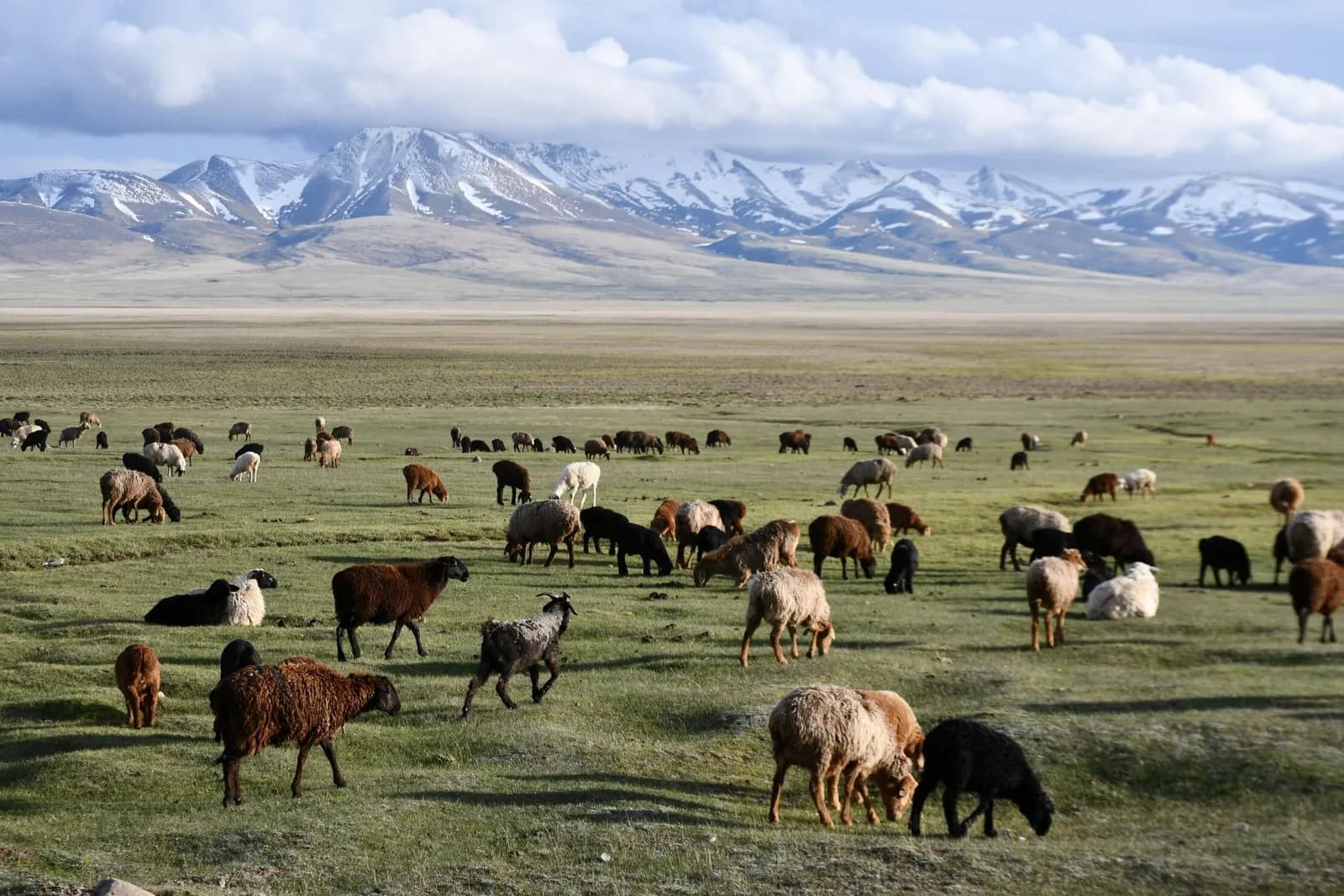 Kyrgyzstan 5-Days Song Kul Lake,Issyk Kul Lake & Kok Jaiyk Valley