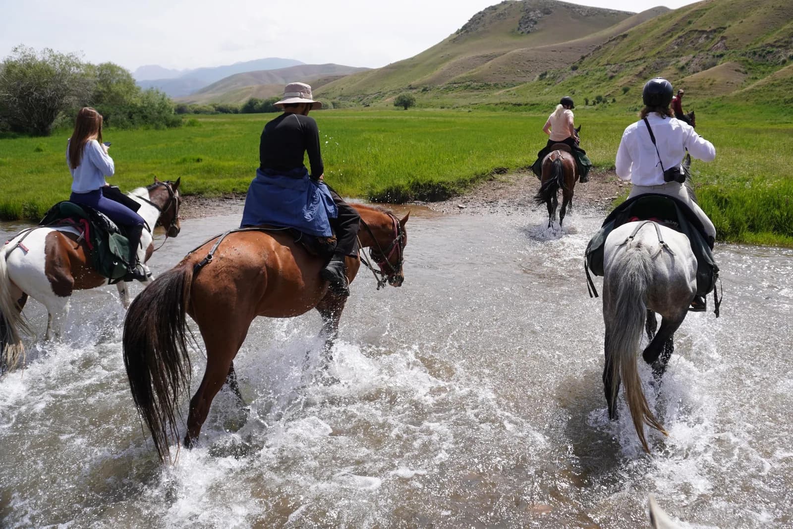 Horseback Riding Adventure in Ala archa National park