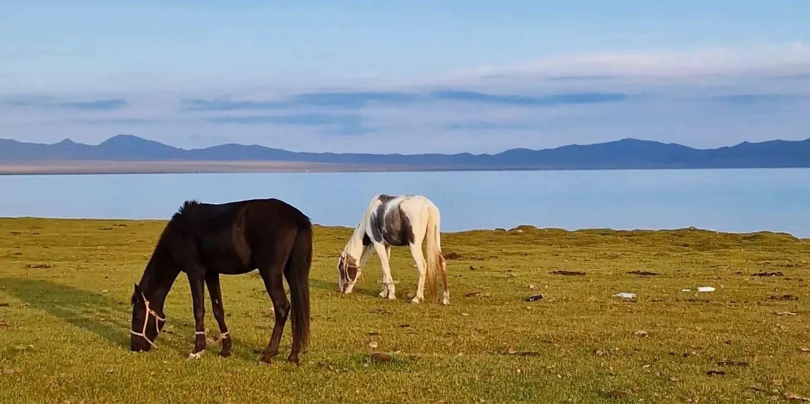 The Best Lakes in Kyrgyzstan: 9 to Know (2026)