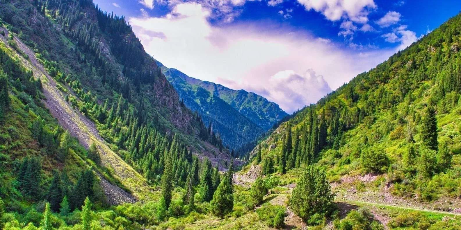 Guided Tour vs Independent Travel in Kyrgyzstan