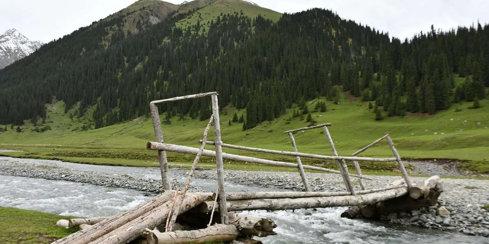 Kyrgyz Food Guide: What to Eat in Kyrgyzstan (2026)