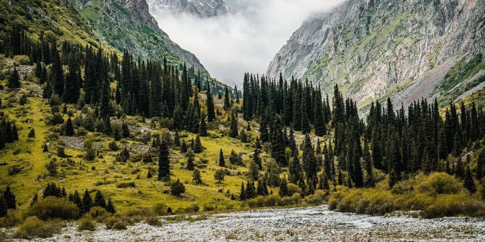 Kyrgyzstan vs Kazakhstan: Which to Visit (2026)