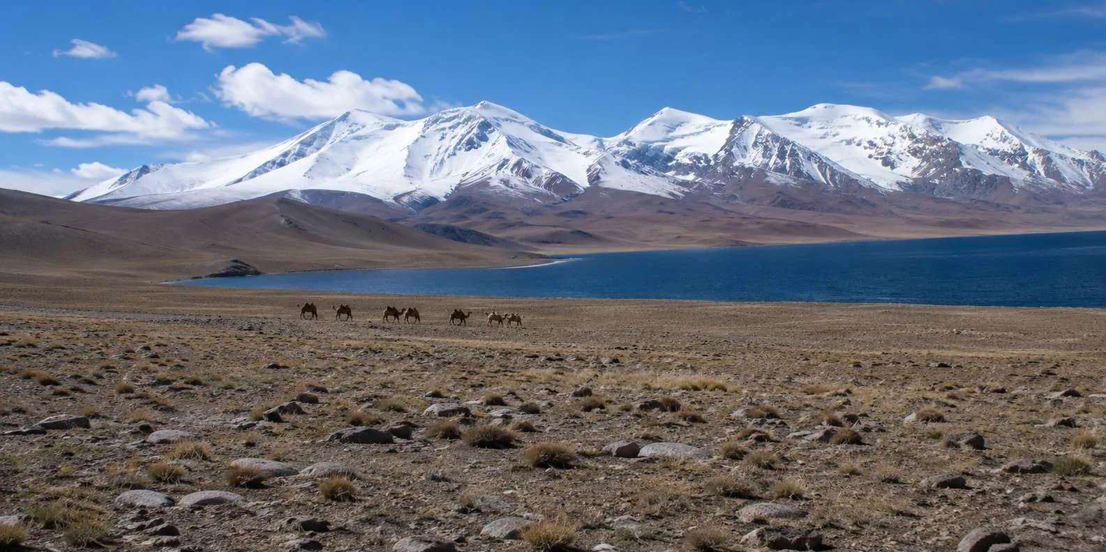 Osh Travel Guide: Kyrgyzstan's Silk Road South (2026)