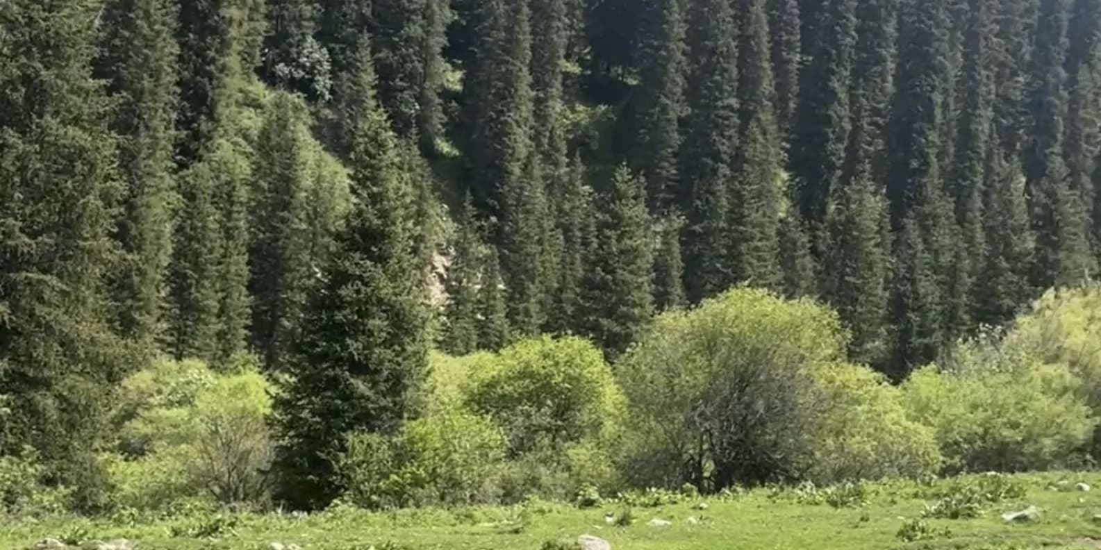 Solo Travel in Kyrgyzstan: A Practical Guide