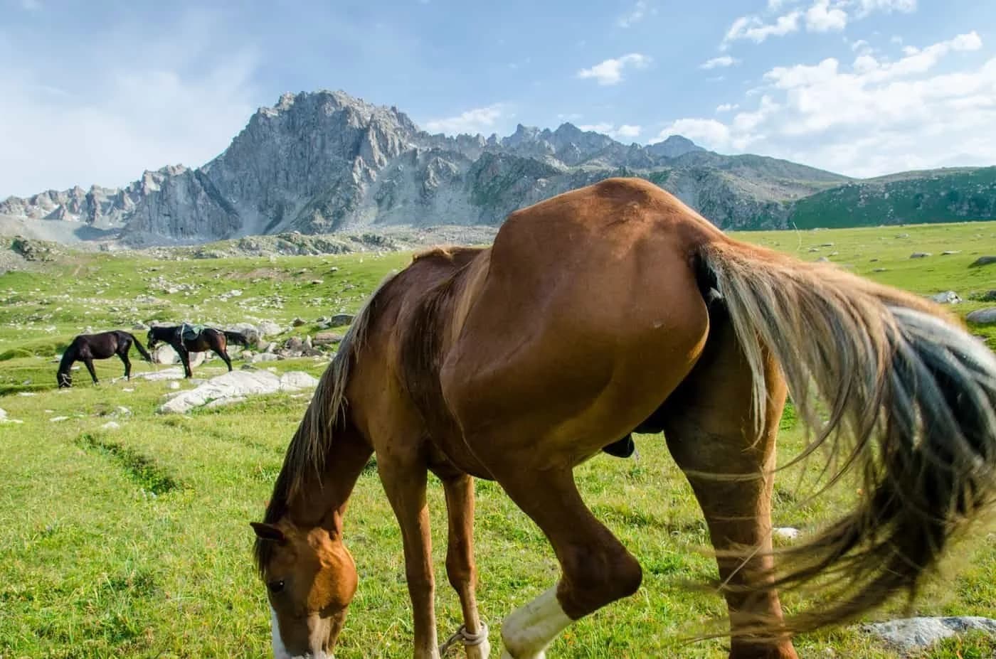 Ak-Suu Traverse — Horse and Foot