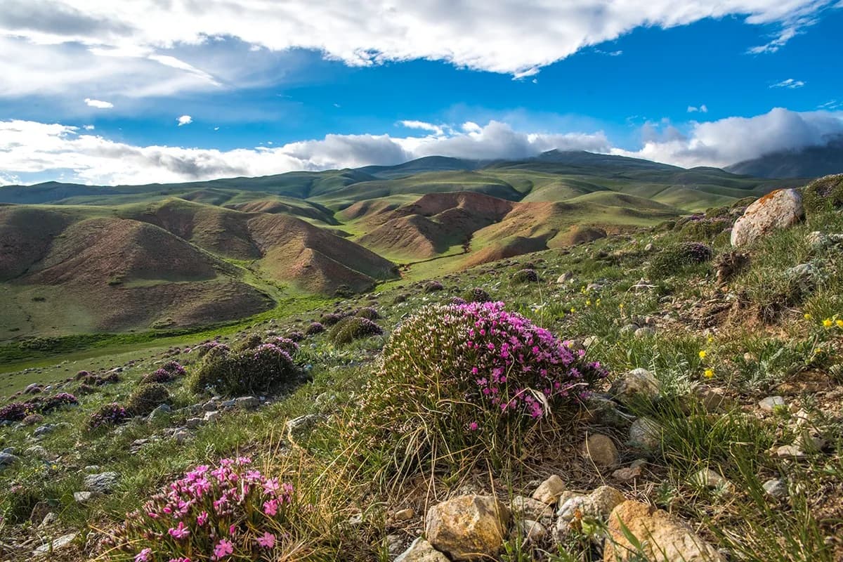 Kyzyl-Oi to Song-Köl — the Western Approach