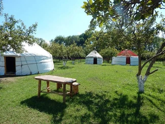 Almaluu Yurt Camp