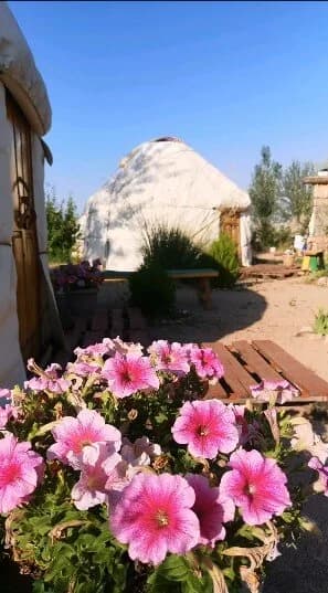 Yurt Camp Tosor